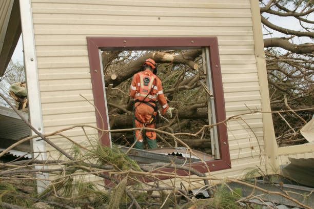 Trusted Grafton, OH Tree Services Experts